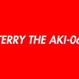DeejayのTERRY THE AKI-06
