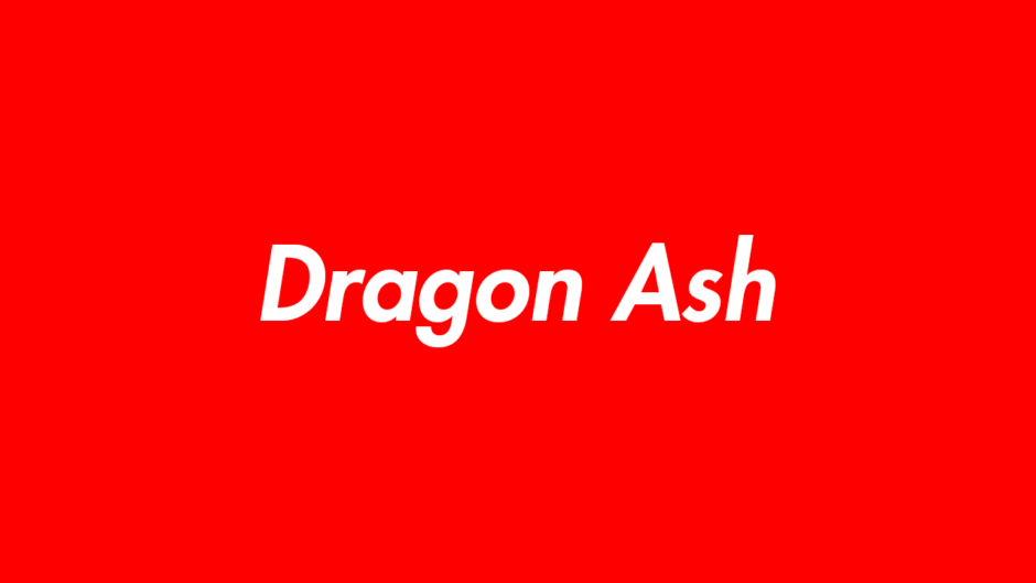 ラッパーDragon Ash